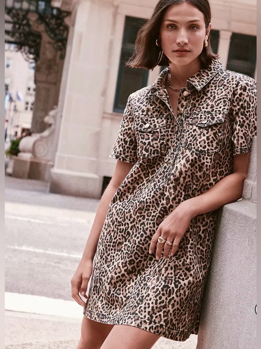 LOFT  Leopard Print Short Sleeve Mini Pocket dress